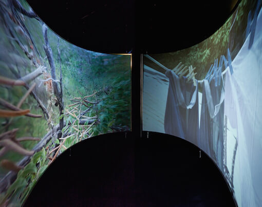 Sharelly Emanuelson, Siudadanos, 2015, installation view